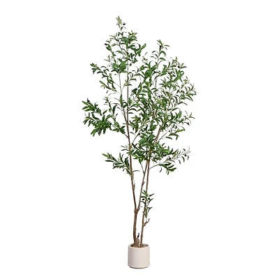 7 ft Minimalist Olive Tree in White Planter