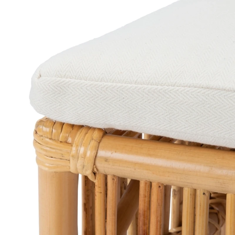 Natural Rattan Lana Accent Chairs, Set of 2