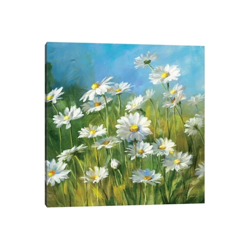 Summer Daisy Field Canvas Art Print