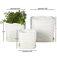 Square White Ceramic Wavy Planters, Set of 3