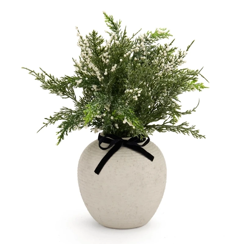 Snowy White Berry Arrangement with Black Bow