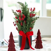 Red Berry Arrangement in Black Pot with Velvet Bow