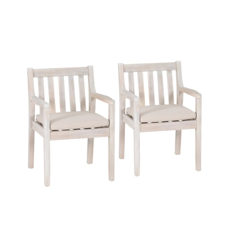 Whitewash Teagon Outdoor Dining Chairs, Set of 2