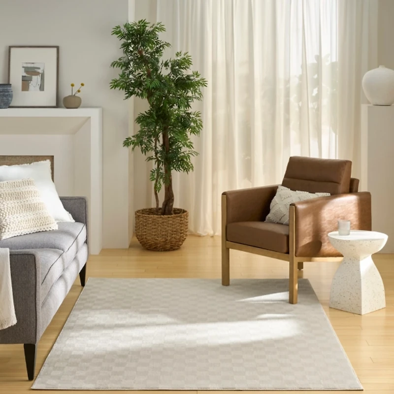 Ivory Serenity Checkered Area Rug, 5x7