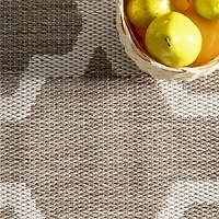 Tan Gina Trellis Indoor/Outdoor Area Rug, 5x7