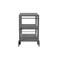 Gray Acacia Wood Indoor/Outdoor Bar Cart