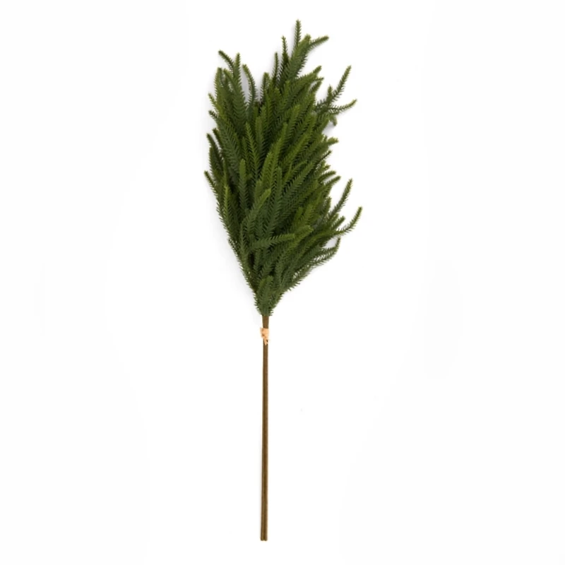 Norfolk Pine Christmas Bundle