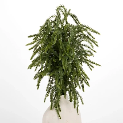 Norfolk Pine Christmas Bundle