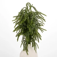 Norfolk Pine Christmas Bundle