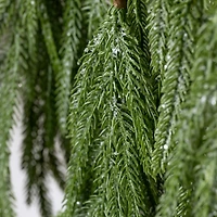 Frosted Norfolk Pine Natural Touch Garland, 5 ft.