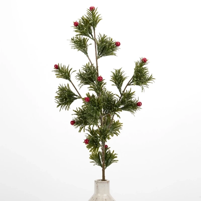 Japanese Pine Berry Stem