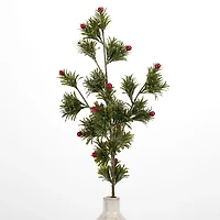 Japanese Pine Berry Stem