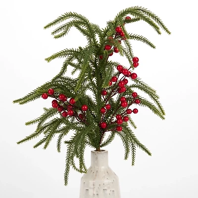 Norfolk Red Berry Stem