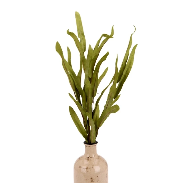 Dark Green Foam Leaves Stem