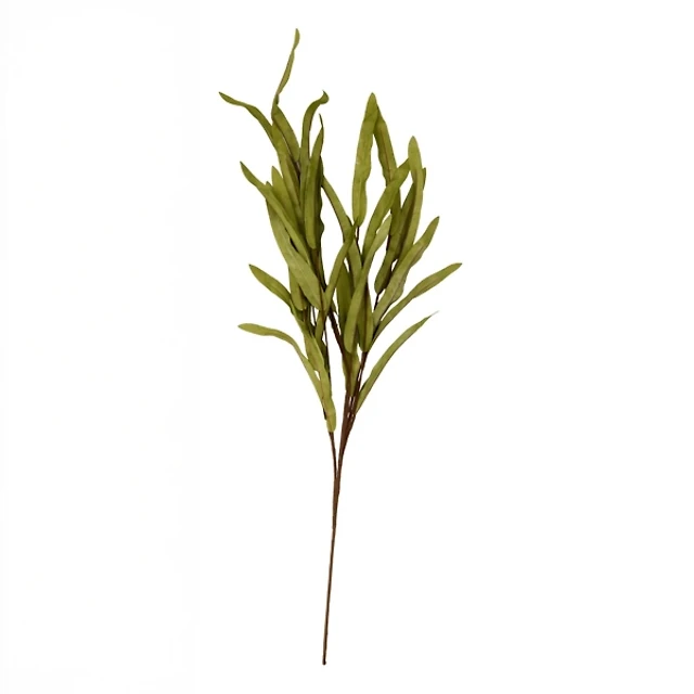 Dark Green Foam Leaves Stem
