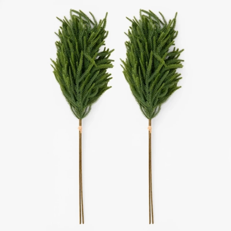 Norfolk Pine Christmas Bundles, Set of 2