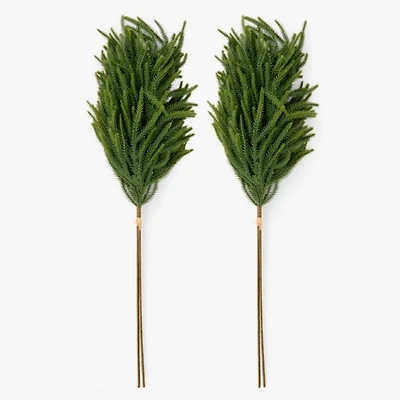Norfolk Pine Christmas Bundles, Set of 2
