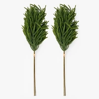 Norfolk Pine Christmas Bundles, Set of 2