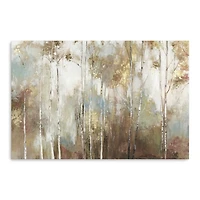 Fine Birch Trees Canvas Art Print