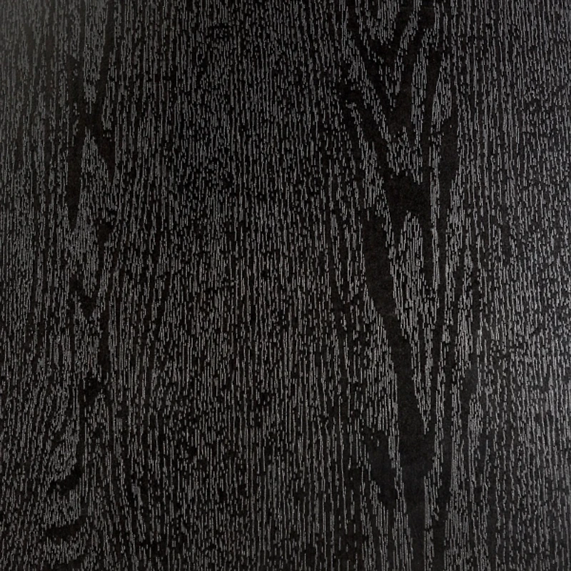 Black Contemporary 2-Door TV Stand