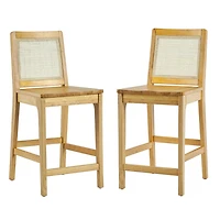 Natural Wood & Rattan Counter Stools, Set of 2