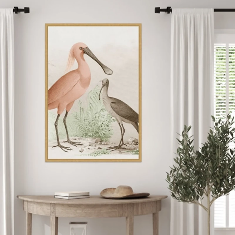 Antique Waterbirds II Framed Canvas Print