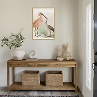 Antique Waterbirds II Framed Canvas Print