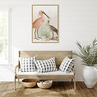 Antique Waterbirds II Framed Canvas Print