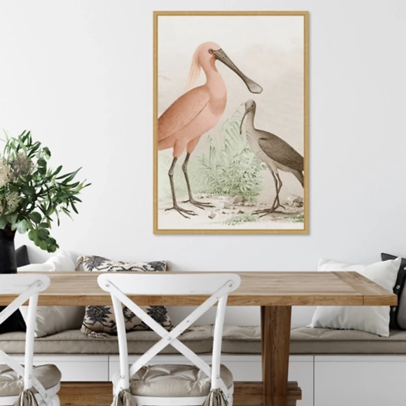 Antique Waterbirds II Framed Canvas Print