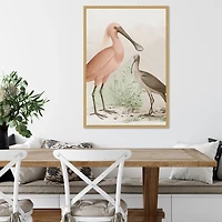 Antique Waterbirds II Framed Canvas Print