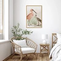 Antique Waterbirds II Framed Canvas Print