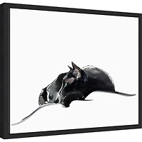 Asher III Framed Canvas Art Print