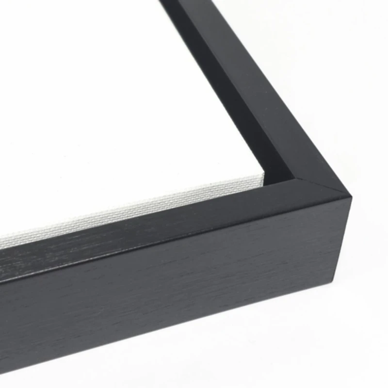 Asher III Framed Canvas Art Print