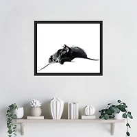 Asher III Framed Canvas Art Print