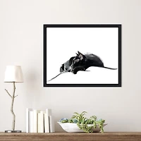 Asher III Framed Canvas Art Print