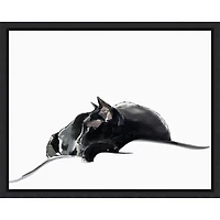 Asher III Framed Canvas Art Print