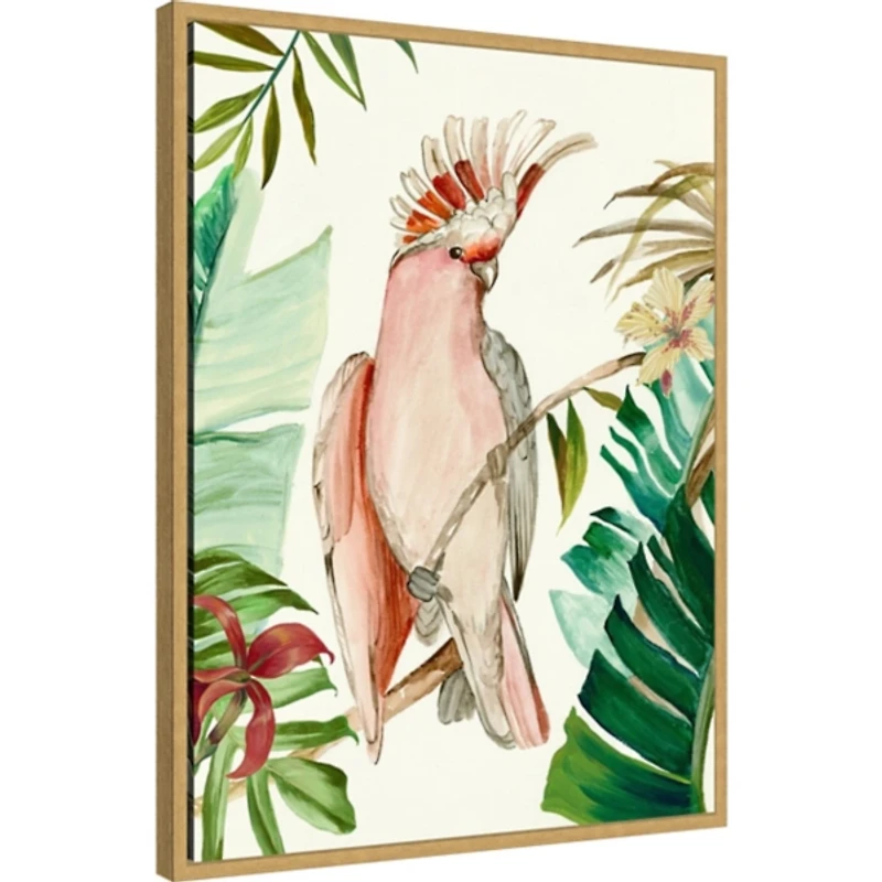 Tropical Bird I Framed Canvas Art Print