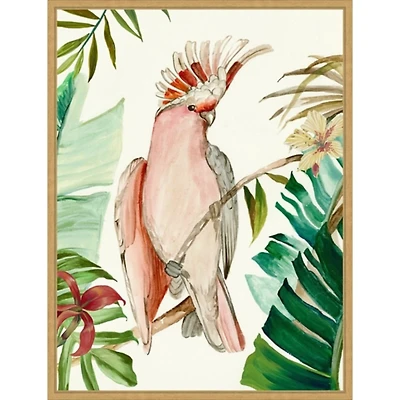 Tropical Bird I Framed Canvas Art Print