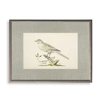 Cream Bird Linen Framed Art Print