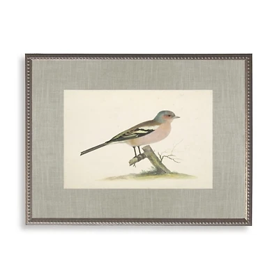 Colorful Bird Linen Framed Art Print