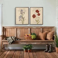 Iris Book Page Framed Art Print