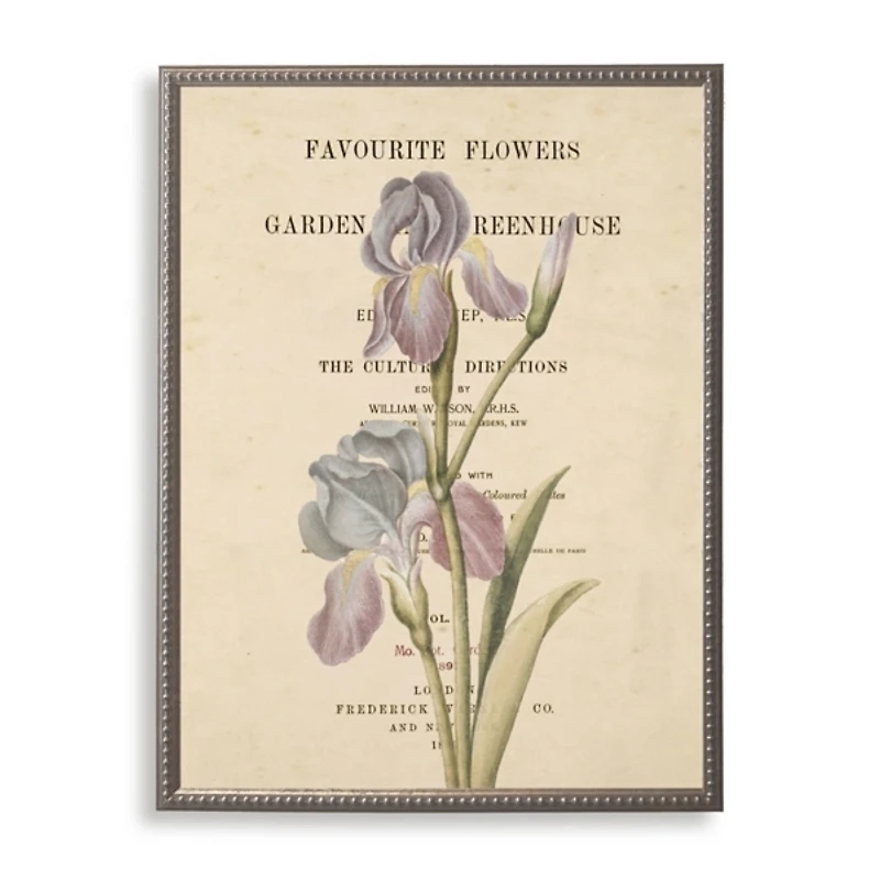 Iris Book Page Framed Art Print