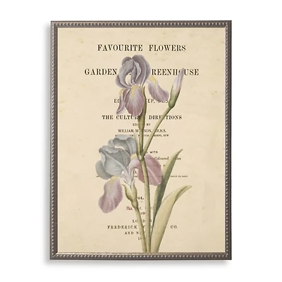 Iris Book Page Framed Art Print