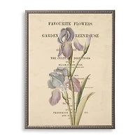 Iris Book Page Framed Art Print