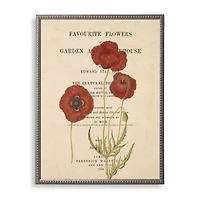 Poppies Book Page Framed Art Print