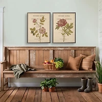 Peony Book Page Framed Art Print