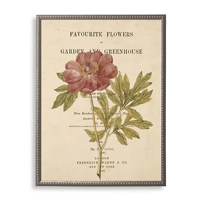Peony Book Page Framed Art Print