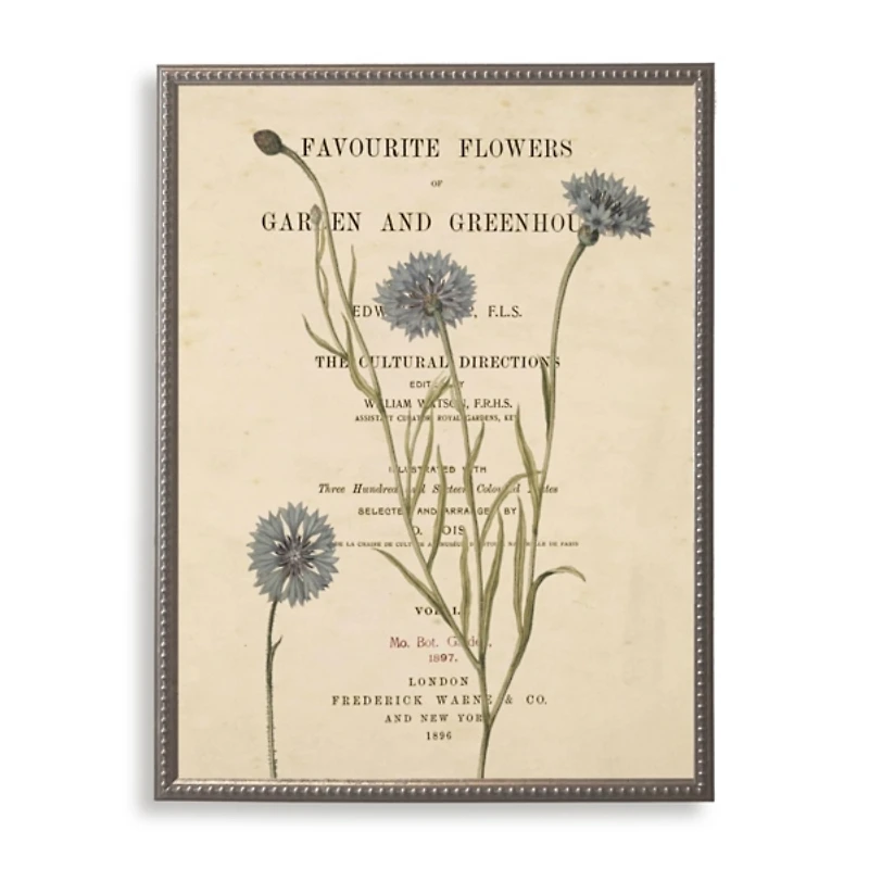 Cornflower Book Page Framed Art Print