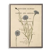 Cornflower Book Page Framed Art Print