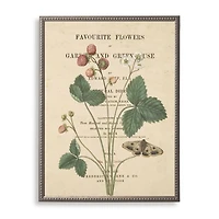 Strawberries Book Page Framed Art Print